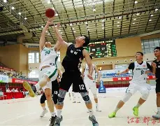 大大小小的篮球比赛中充满着激烈的角逐，掌声雷动